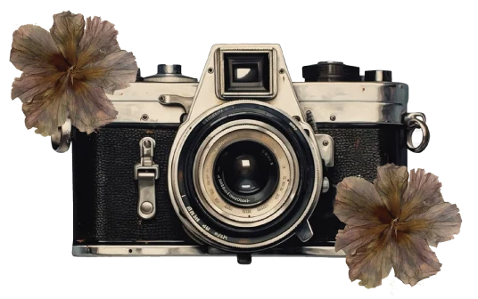 Sticker camara