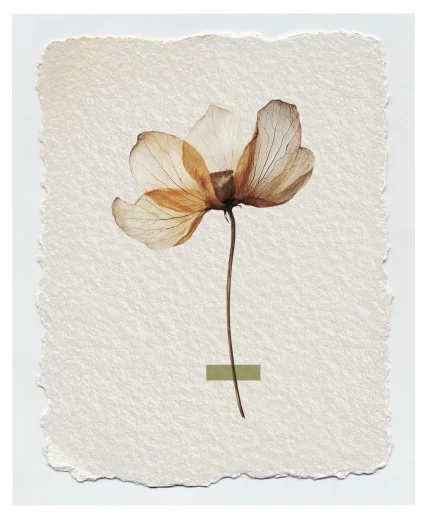 Sticker flor