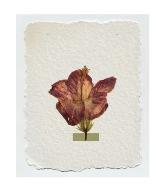Sticker hibiscus